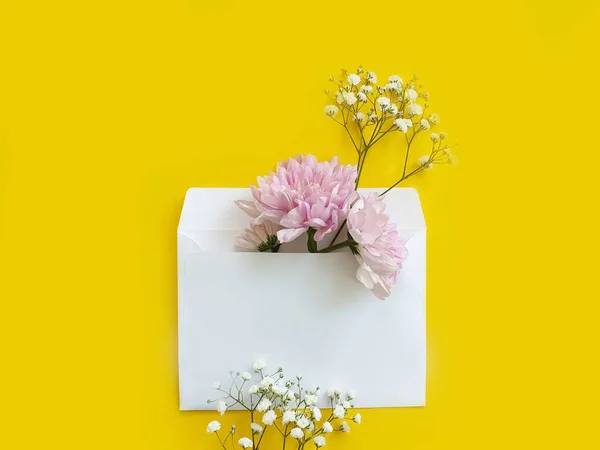 Koperta Kwiat Kolorowym Tle — Zdjęcie stockowe