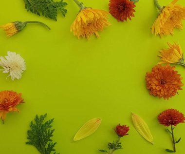 Renkli arkaplanda çiçek aranjmanı