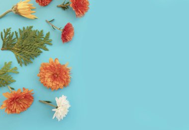 Renkli arkaplanda çiçek aranjmanı