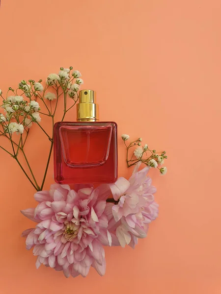 Flasche Parfüm Blume Auf Einem Farbigen Hintergrund — Stockfoto