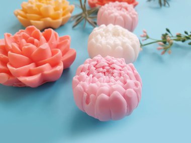 Renkli arka planda doğal sabun çiçeği