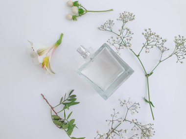 Renkli arka planda bir şişe parfümü çiçeği.