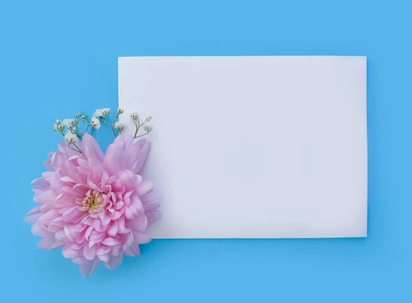 Envelop Bloem Een Gekleurde Achtergrond — Stockfoto
