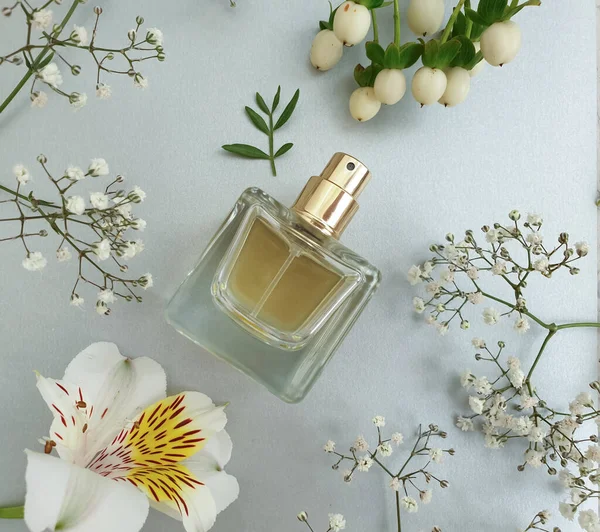 Bottle Perfume Flower Colored Background — Stock Photo, Image