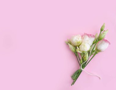 Renkli bir arka planda östoma çiçeği