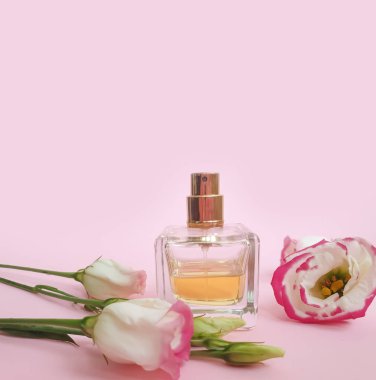 Renkli arka planda bir şişe parfümü çiçeği.