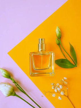 Renkli arka planda bir şişe parfümü çiçeği.