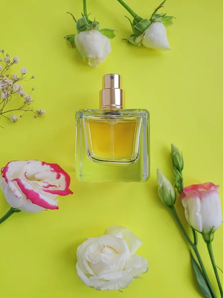 Flasche Parfüm Blume Auf Einem Farbigen Hintergrund — Stockfoto