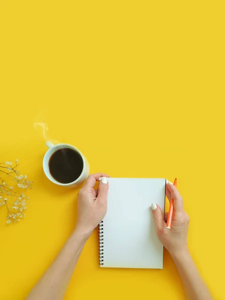 female hands holding a cup of coffee, notebook on a colored background