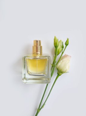 Renkli arka planda bir şişe parfümü çiçeği.