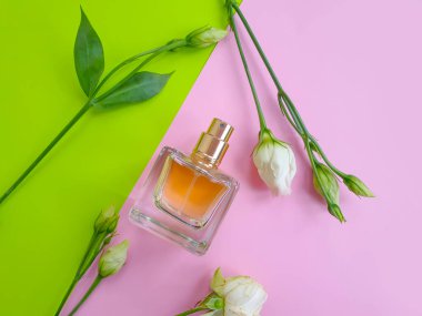 Renkli arka planda bir şişe parfümü çiçeği.