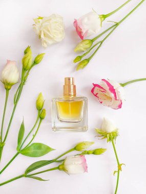 Renkli arka planda bir şişe parfümü çiçeği.