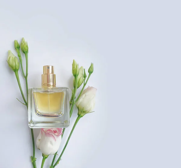 Fles Parfum Bloem Een Gekleurde Achtergrond — Stockfoto