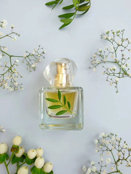 Fles Parfum Bloem Een Gekleurde Achtergrond — Stockfoto