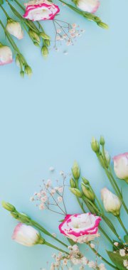 Renkli arkaplanda östoma çiçeği