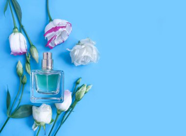 Renkli arka planda bir şişe parfümü çiçeği.