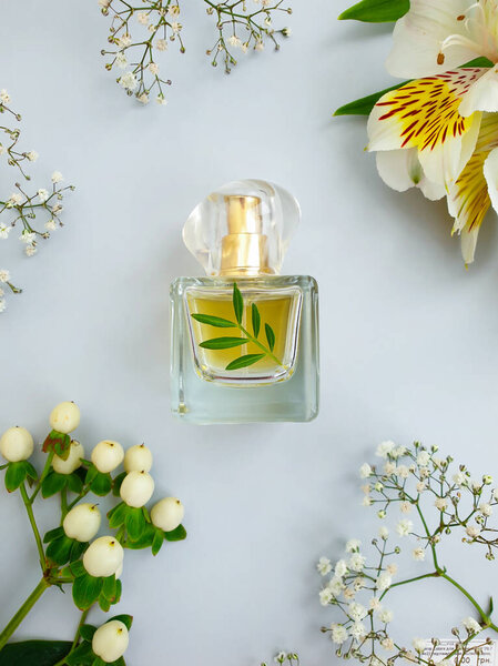 bottle perfume flower on a colored background