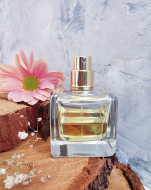 Beton bir arka planda şişe parfümü çiçeği