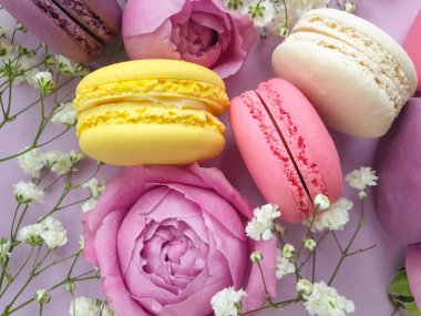 çok renkli badem kurabiyesi, renkli bir arka planda gül çiçeği.