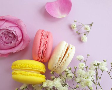 çok renkli badem kurabiyesi, renkli bir arka planda gül çiçeği.