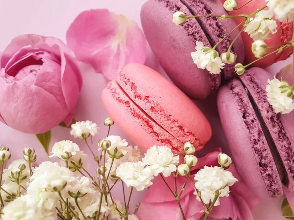 Veelkleurige Macaroon Rozenbloem Een Gekleurde Achtergrond — Stockfoto