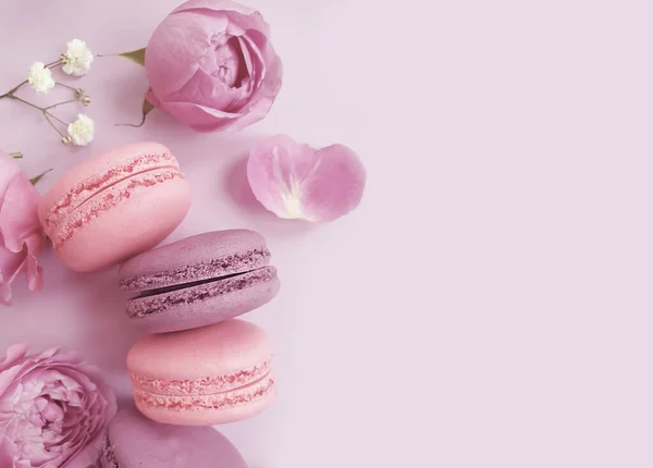 Veelkleurige Macaroon Rozenbloem Een Gekleurde Achtergrond — Stockfoto