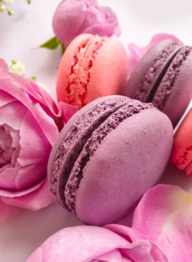 çok renkli badem kurabiyesi, renkli bir arka planda gül çiçeği.