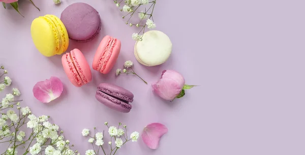 Veelkleurige Macaroon Rozenbloem Een Gekleurde Achtergrond — Stockfoto