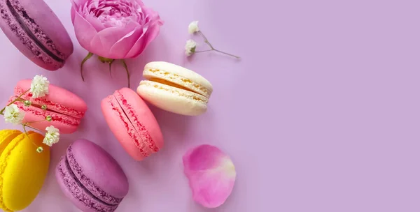 Veelkleurige Macaroon Rozenbloem Een Gekleurde Achtergrond — Stockfoto