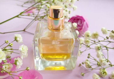 Renkli arka planda bir şişe parfümü çiçeği.