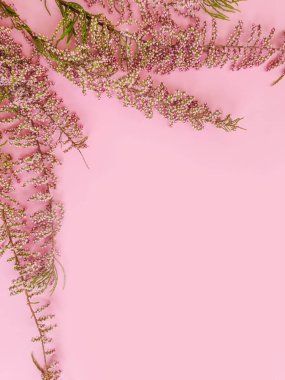 Renkli arka planda güzel bahar çiçekleri