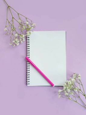 Renkli bir arka planda notebook gypthe flowers