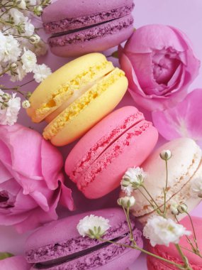 çok renkli badem kurabiyesi, renkli bir arka planda gül çiçeği.