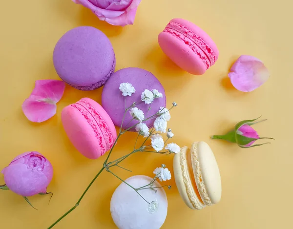 Veelkleurige Macaroon Rozenbloem Een Gekleurde Achtergrond — Stockfoto