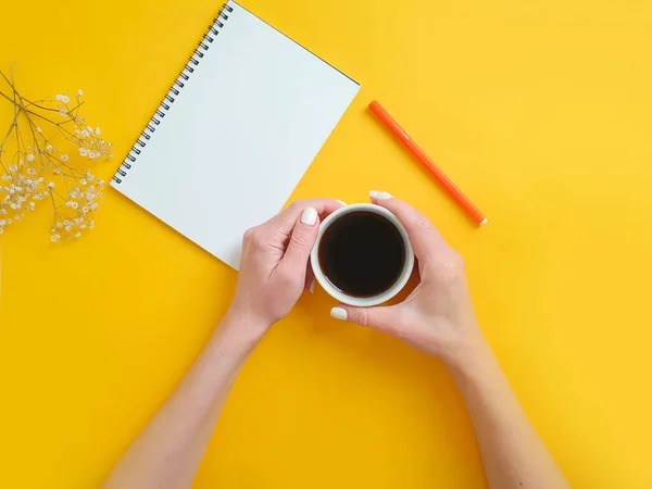 Weibliche Hände Mit Einer Tasse Kaffee Notizbuch Auf Farbigem Hintergrund — Stockfoto