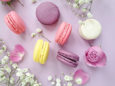 çok renkli badem kurabiyesi, renkli bir arka planda gül çiçeği.