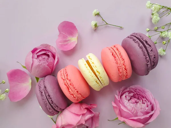 Veelkleurige Macaroon Rozenbloem Een Gekleurde Achtergrond — Stockfoto