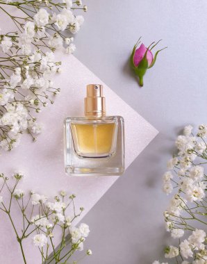 Renkli arka planda bir şişe parfümü çiçeği.