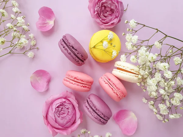 Veelkleurige Macaroon Rozenbloem Een Gekleurde Achtergrond — Stockfoto