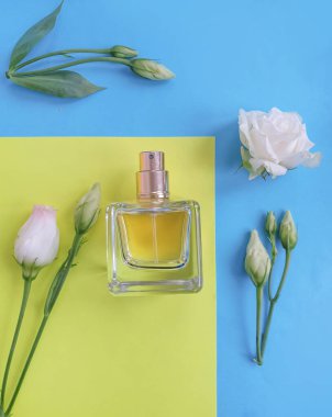 Renkli arka planda bir şişe parfümü çiçeği.