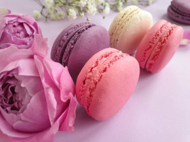 çok renkli badem kurabiyesi, renkli bir arka planda gül çiçeği.