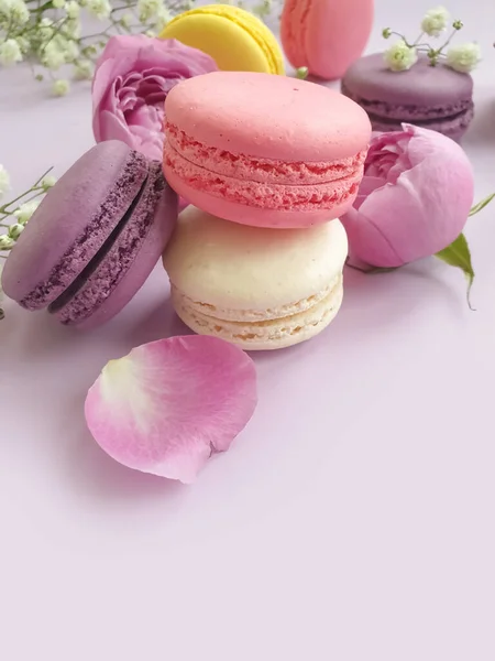 Veelkleurige Macaroon Rozenbloem Een Gekleurde Achtergrond — Stockfoto