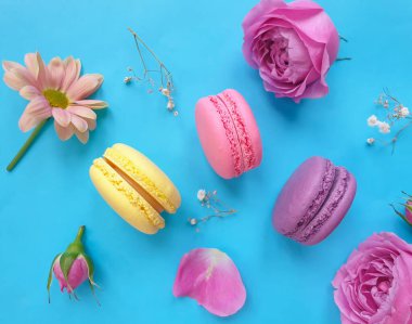 çok renkli badem kurabiyesi, renkli bir arka planda gül çiçeği.