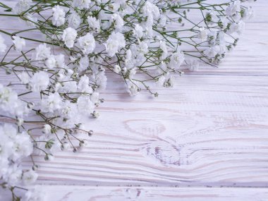 Tahta arka planda çikila çiçeği