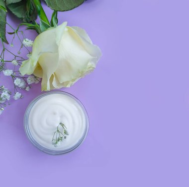 krem renkli arkaplanda kozmetik gül çiçeği