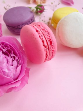 çok renkli badem kurabiyesi, renkli bir arka planda gül çiçeği.