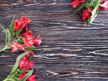 Ahşap çerçeve üzerinde alstroemeria çiçeği