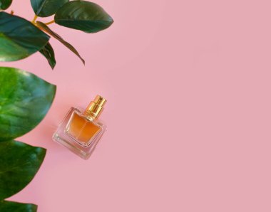 Renkli arka planda bir şişe parfümü çiçeği.