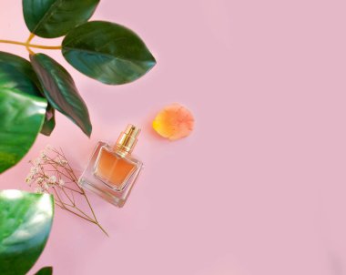 Renkli arka planda bir şişe parfümü çiçeği.