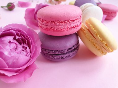 çok renkli badem kurabiyesi, renkli bir arka planda gül çiçeği.